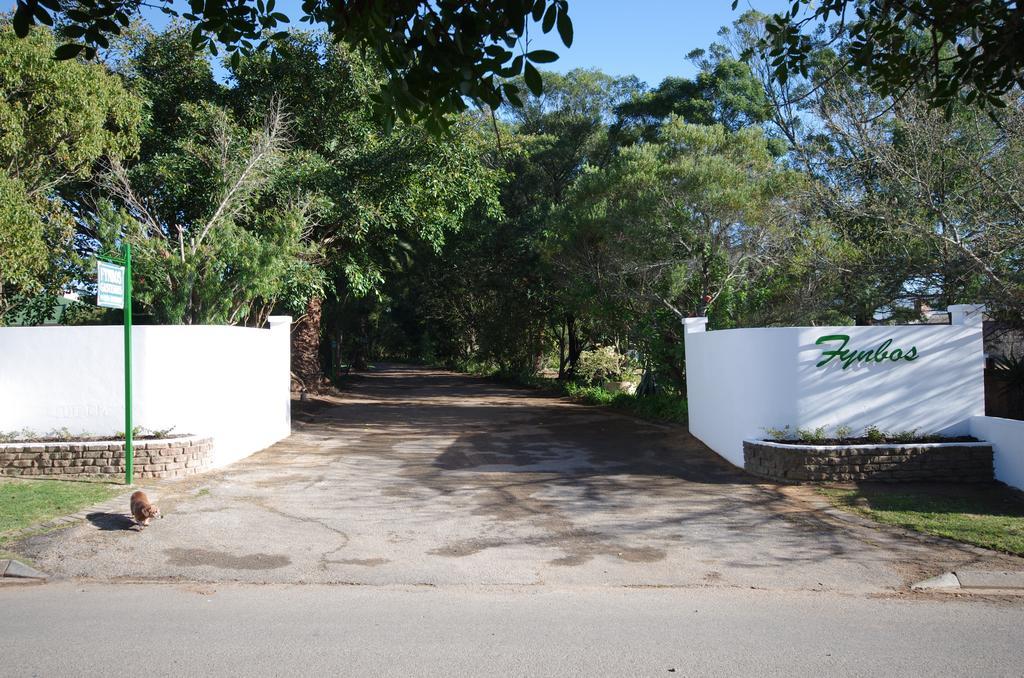 Fynbos Guest House Riversdale Eksteriør bilde