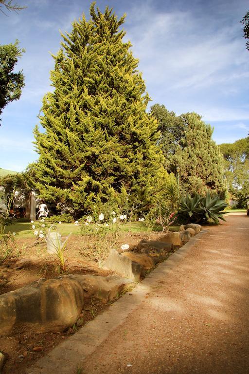 Fynbos Guest House Riversdale Eksteriør bilde